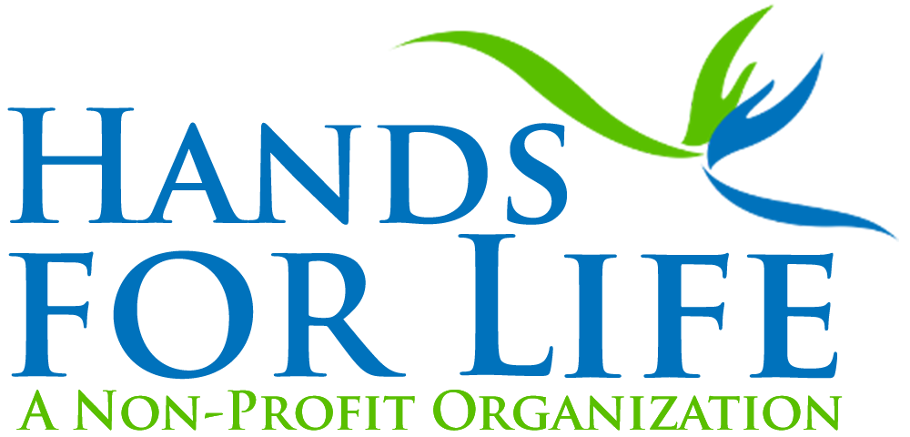 Hands For Life Introduces Our Blog!